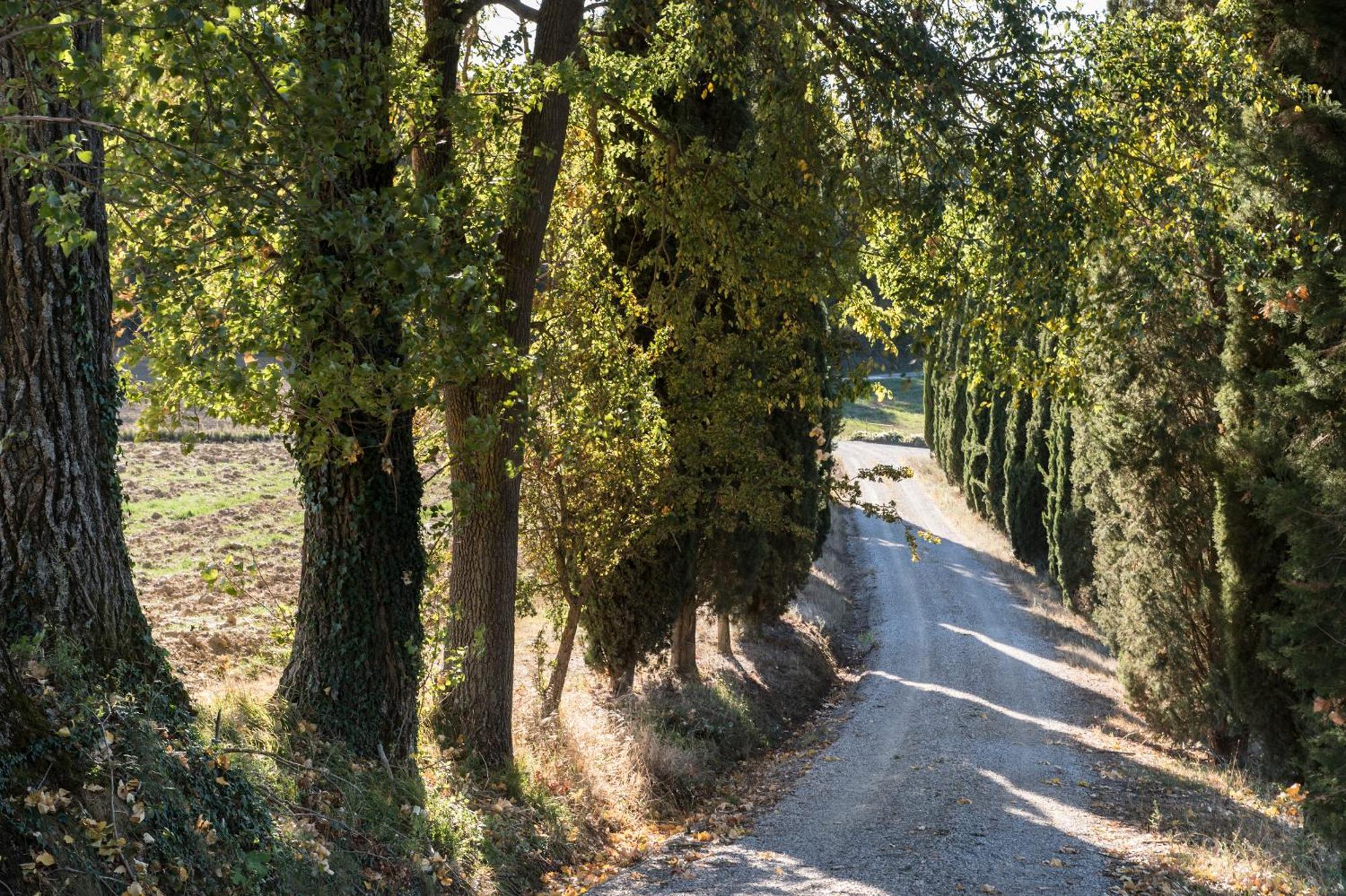 Villa Il Giardinello 몬탈치노 외부 사진